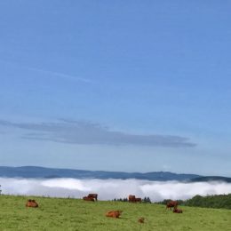 Auf dem Berg hat die Sonne bereits gewonnen ?⛅?☀