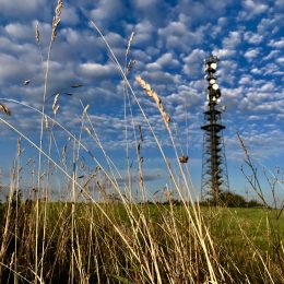 SchäfchenWolken in Wildewiese ???