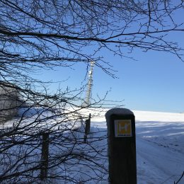 Am Sauerländer Höhenflug in Wildewiese