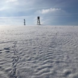 Spuren im Schnee ??❄?