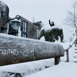 Willkommen im Wildewiese Winter❄❄❄ Yamin lädt zur Schneeballschlacht ein