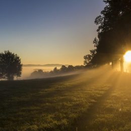 Guided morning hiking tour