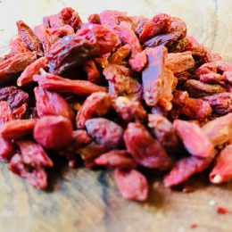 Goji Beeren – the small red superfood