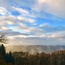 Sauerland forests