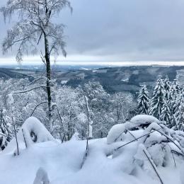 Snowy winter landscape