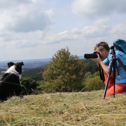 Fotoshooting ? in Wildewiese