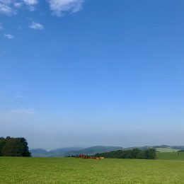 Good morning SAUERLAND