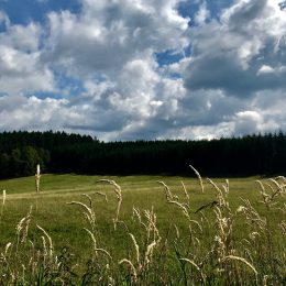 Slowly the Sauerland autumn is already noticeable