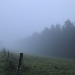 fog hike