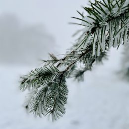 Winter hike-Wildewiese ❄⛄