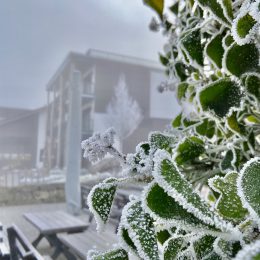 frozen landscape