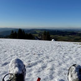 At the very top in Wildewiese