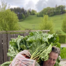 Rhubarb time