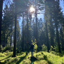 forest bathing