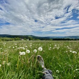 small meadow break