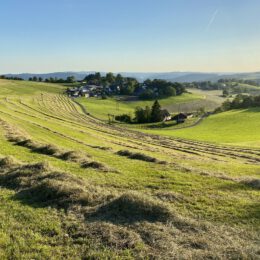 Hay time Wildewiese