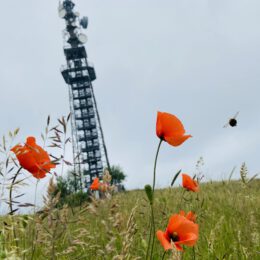 Observation tower