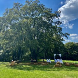 wedding ceremony in the shade of the beech tree