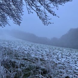 Hoarfrost hike Wildewiese ❄️👌🏻