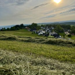 harvest in wildewiese