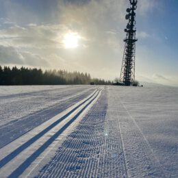 wintertime Wildewiese