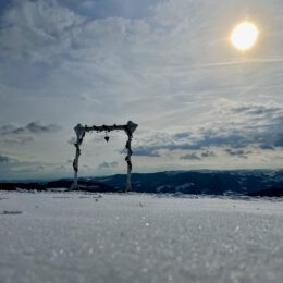 White Winter Wedding Wildewiese