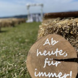 free wedding ceremony in Wildewiese